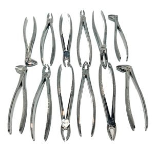 Adult Extraction Forceps 12